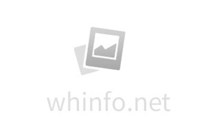 機械取栓：缺血性腦卒中的 “黃金救治窗口”