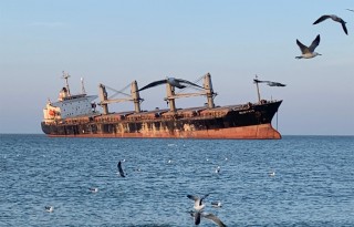 新增公廁！布魯維斯號周邊配套設(shè)施上新